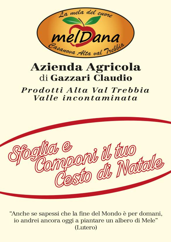 Meldana Catalogo-NATALE-2024 1