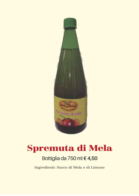 Meldana Catalogo-NATALE-2024 9